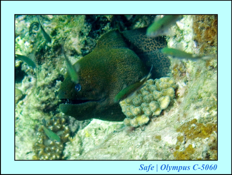 2008 - 07 - Redang - 031